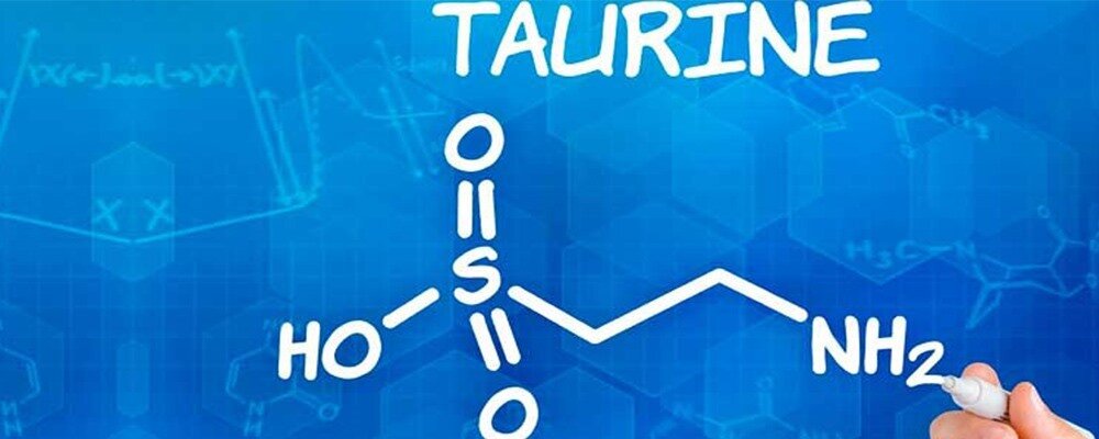 Taurin nedir? Taurin Ne İşe Yarar? Taurin Kullanmanın Faydaları